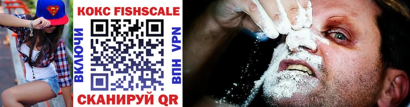 mega ссылка  сайты даркнета наркотические препараты  Грозный  COCAIN FishScale  купить наркотик 